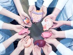 WhatsApp Image 2025-05-06 at 7.24.31 AM (3)