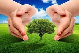 WhatsApp Image 2025-05-06 at 7.24.39 AM (1)